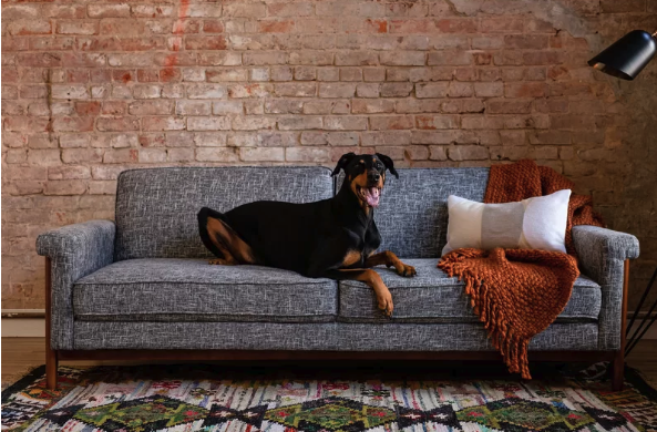 Corwin Convertible Sofa
